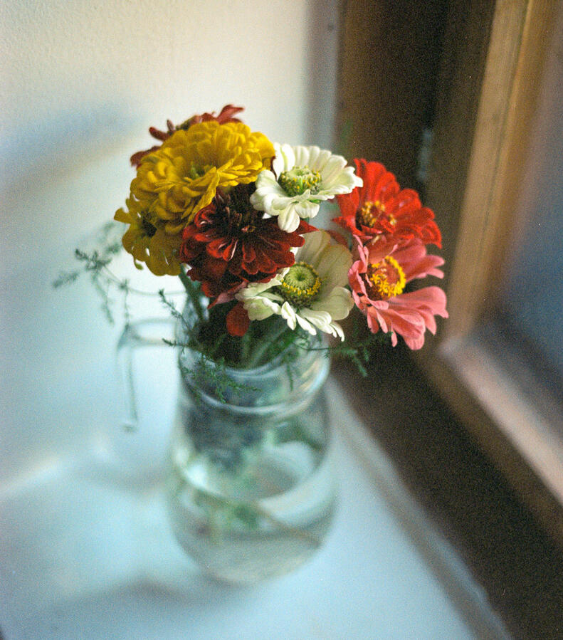 flower bouquet in an old window frame flower bouquet in an old window frame